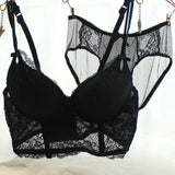Deep V-neck bra
