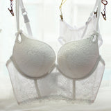 Deep V-neck bra