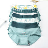 LANGSHA  Women Blue Pantie